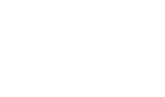 BFA Logo Variation White