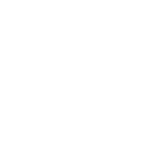 Puma 1